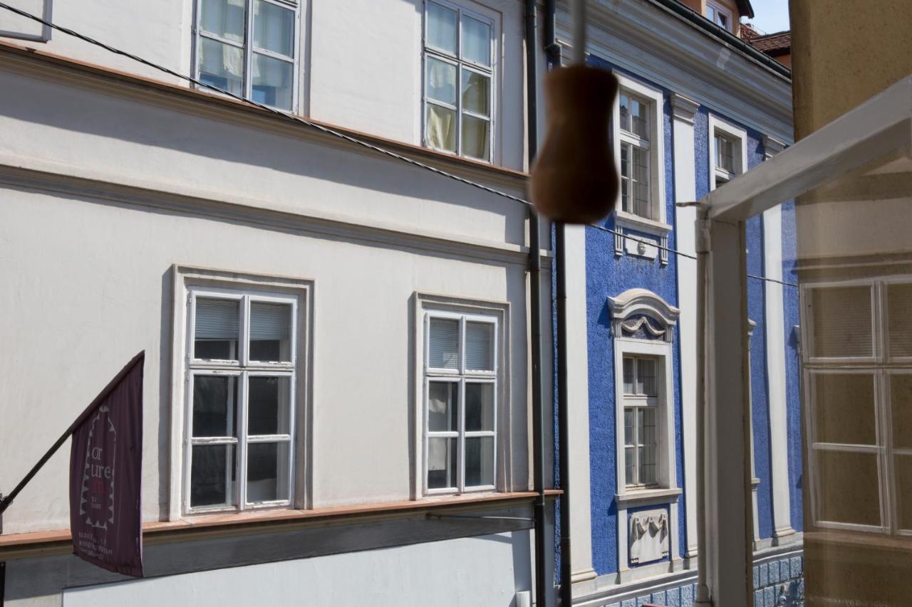 Apartment Jasmin Zagrzeb Zewnętrze zdjęcie